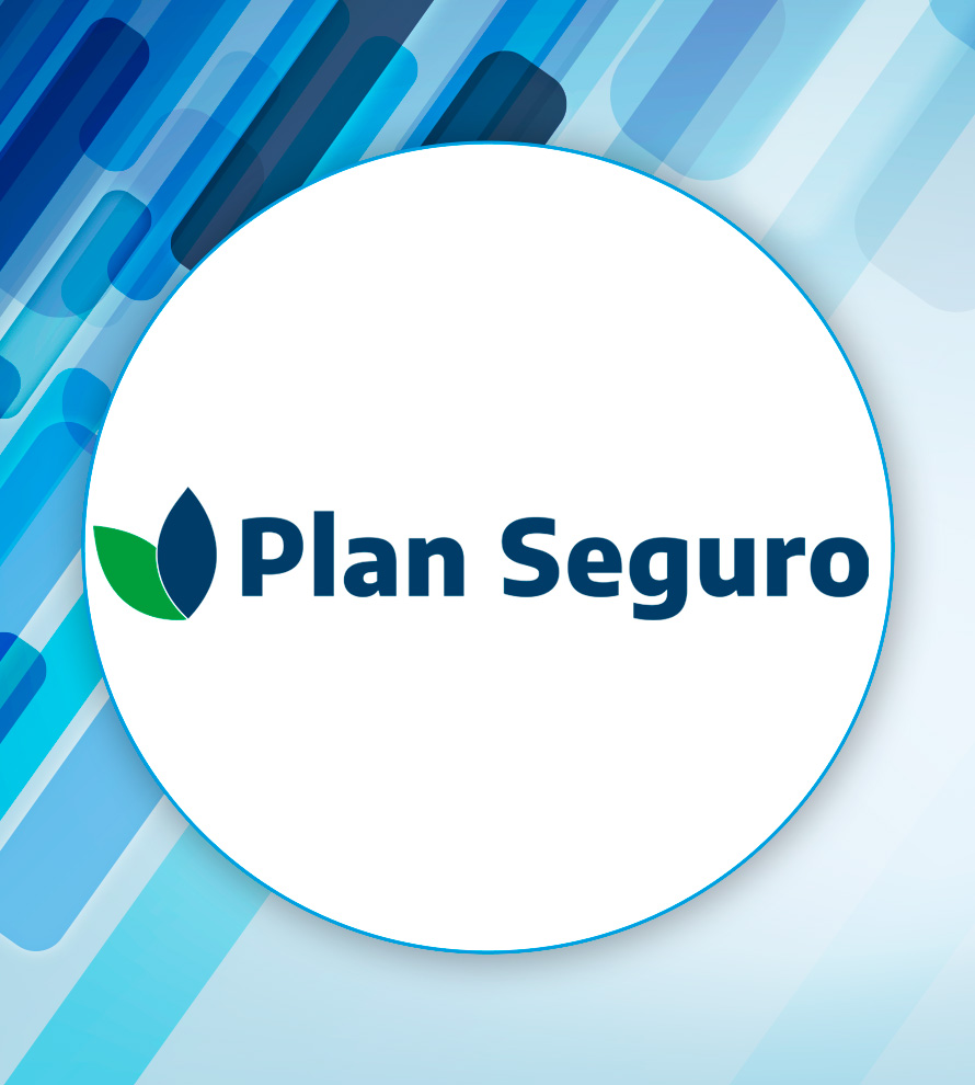 LOGO PLAN SEGURO