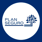 LOGO PLAN SEGURO