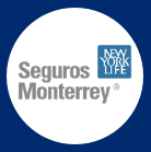 LOGO SEGUROS MONTERREY